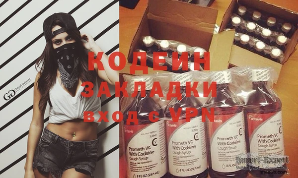 сатива Беломорск