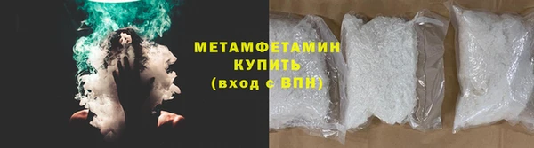 сатива Беломорск