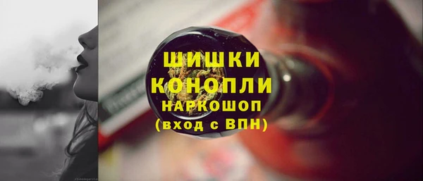 сатива Беломорск