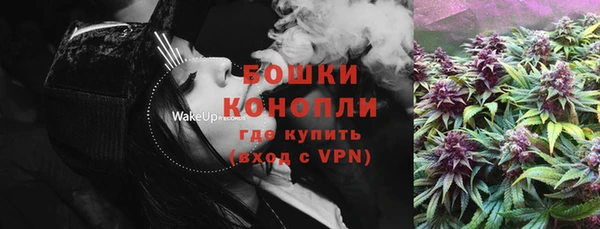 сатива Беломорск