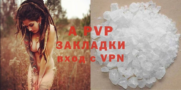 сатива Беломорск