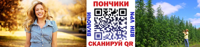 Бошки марихуана марихуана  Пионерский 